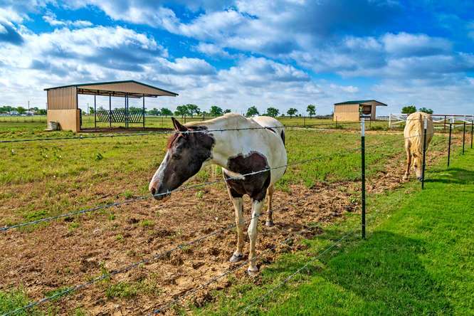 1601-Sandbrock-Parkway-Aubrey-small-007-023-Horses-666x444-72dpi