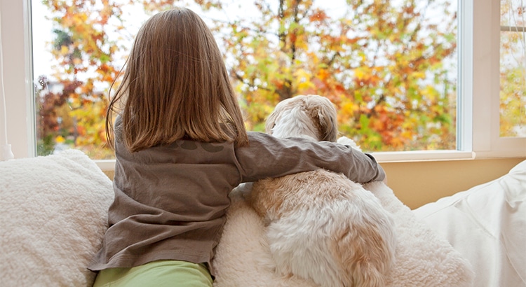 Girl and her dog looking out the window at autumn leaves; Family changes create Reasons to Sell this Fall