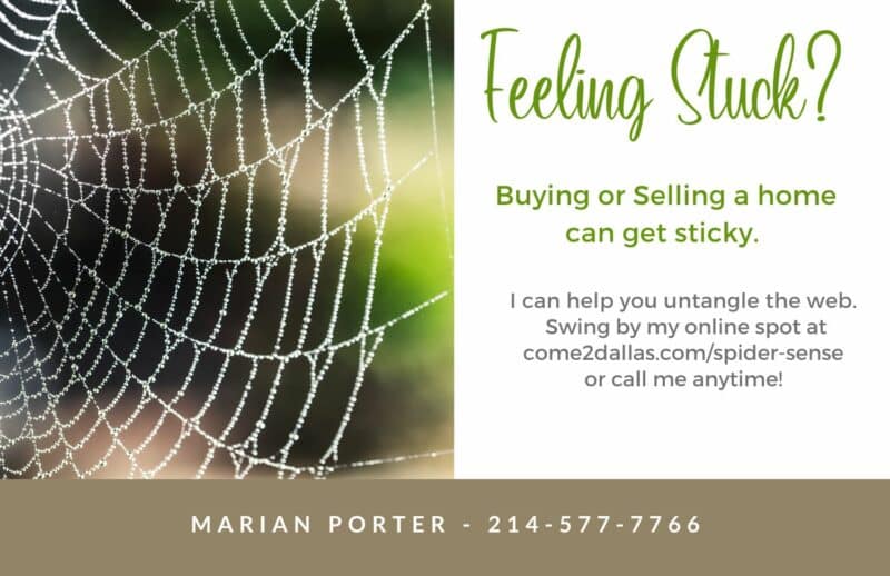 Rightsizing your Texas home makes spider sense