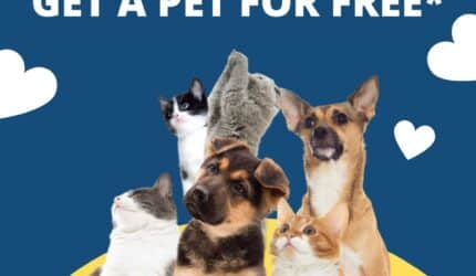 Buy or Sell with me and get a pet for free