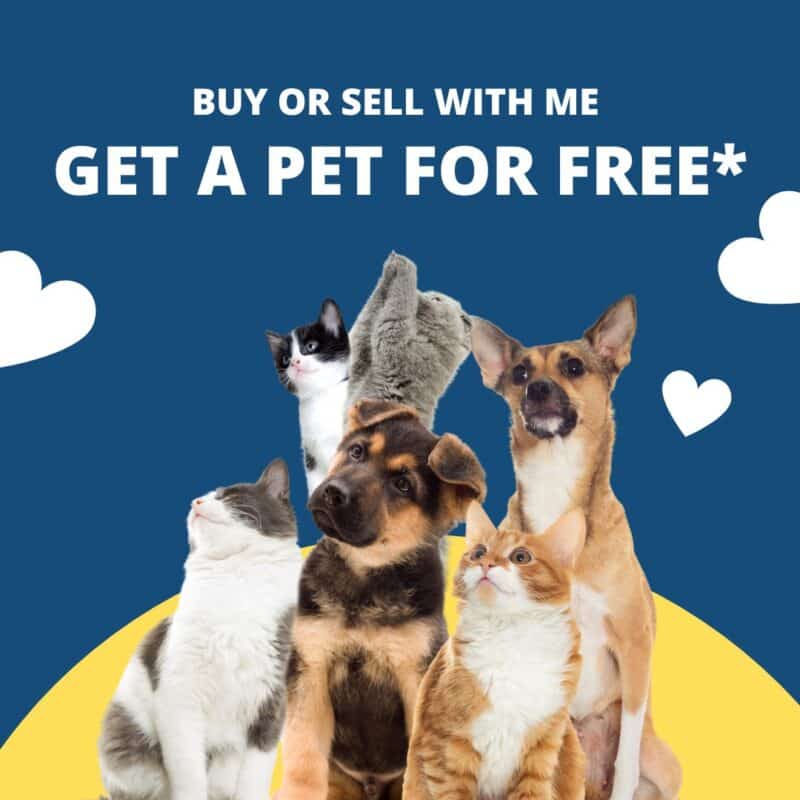 Buy or Sell with me and get a pet for free